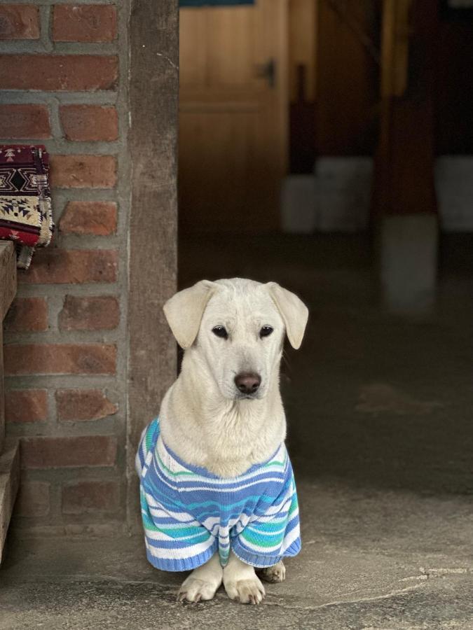 サパIndi Houseアパートメント エクステリア 写真